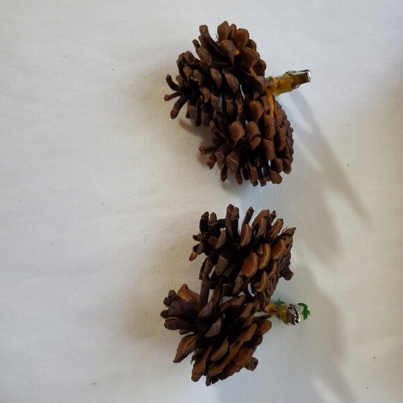 Natural Unscented Wooded Pinecone Clip Ornaments – Holiday Décor – Set of (2) - Picture 3 of 6